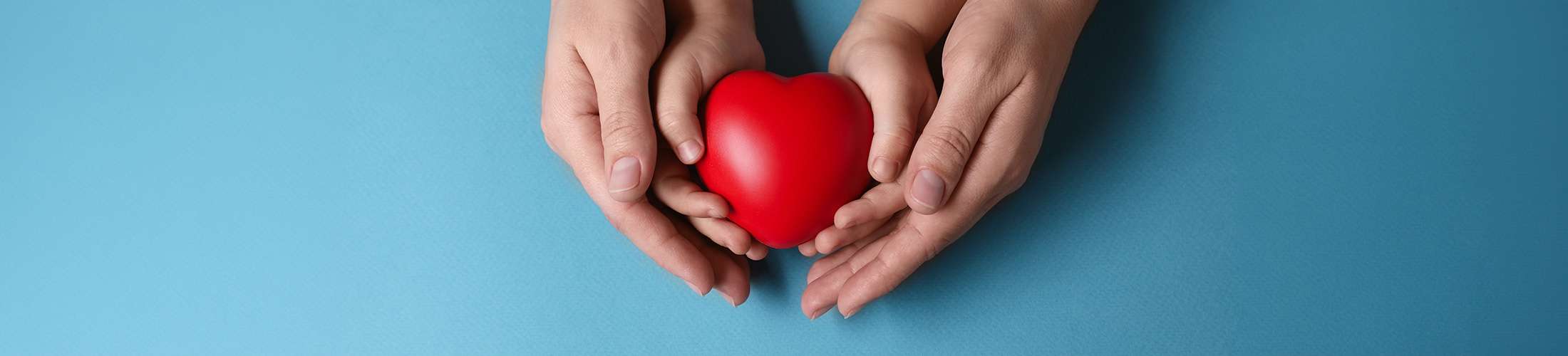 Giving at Lakeview Montessori